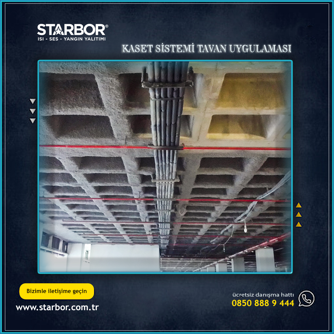 Starbor 11